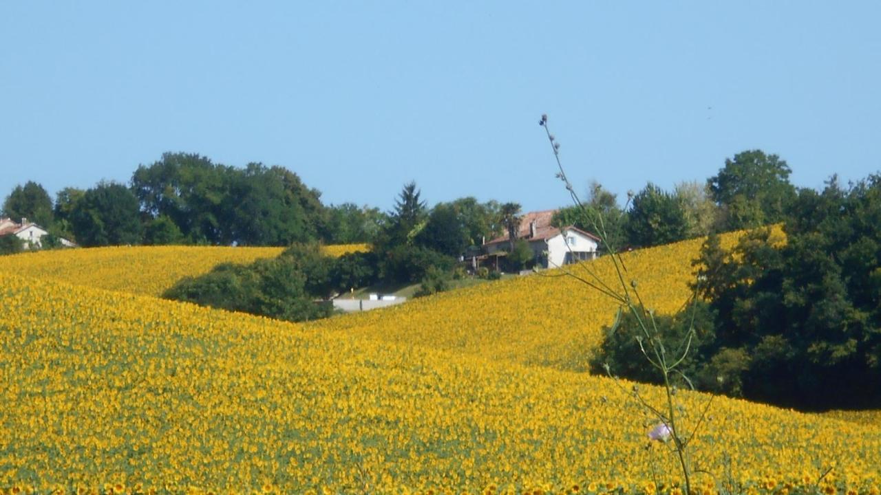 Nanteuil-Auriac-de-BourzacLa Tranquillite, Le Repos别墅 外观 照片